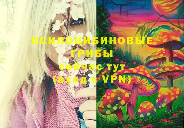 таблы Белоозёрский