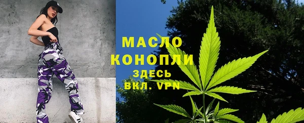 гидра Саяногорск