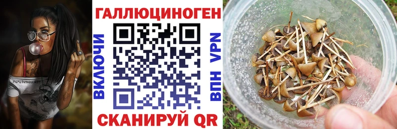 сколько стоит  Курильск  Галлюциногенные грибы мухоморы 